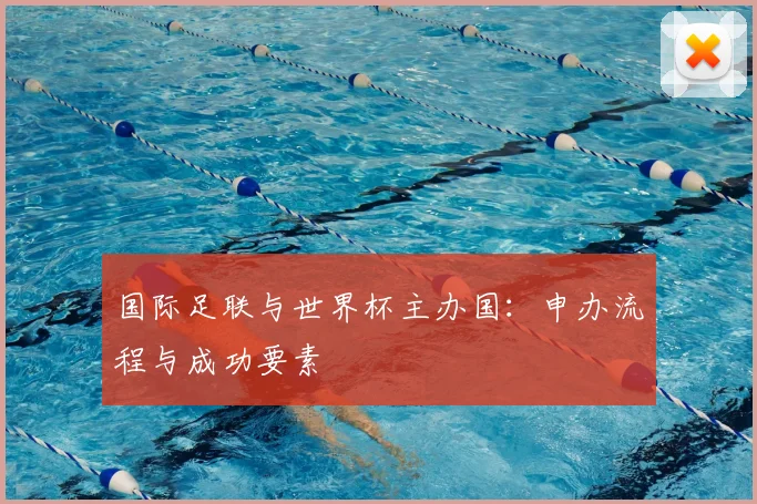 国际足联与世界杯主办国：申办流程与成功要素