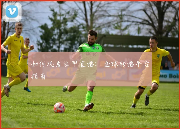 如何观看法甲直播：全球转播平台指南