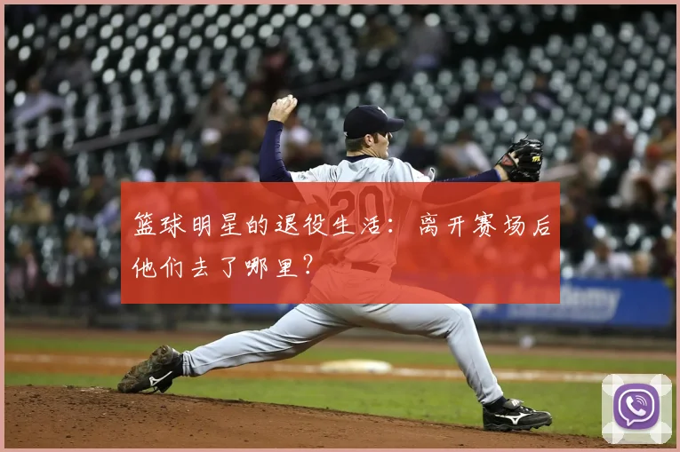 篮球明星的退役生活：离开赛场后他们去了哪里？
