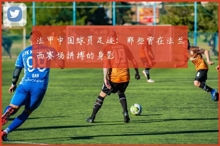 法甲中国球员足迹：那些曾在法兰西赛场拼搏的身影