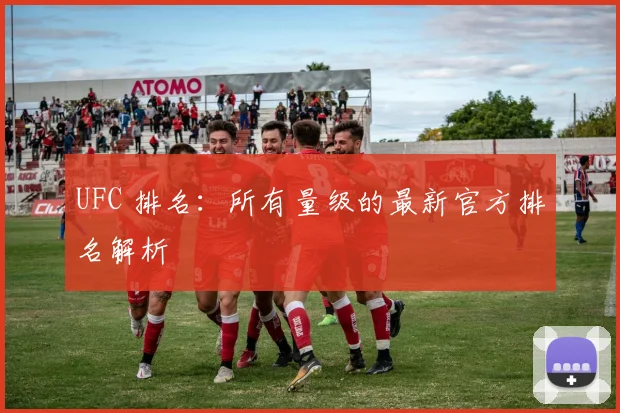 UFC 排名：所有量级的最新官方排名解析